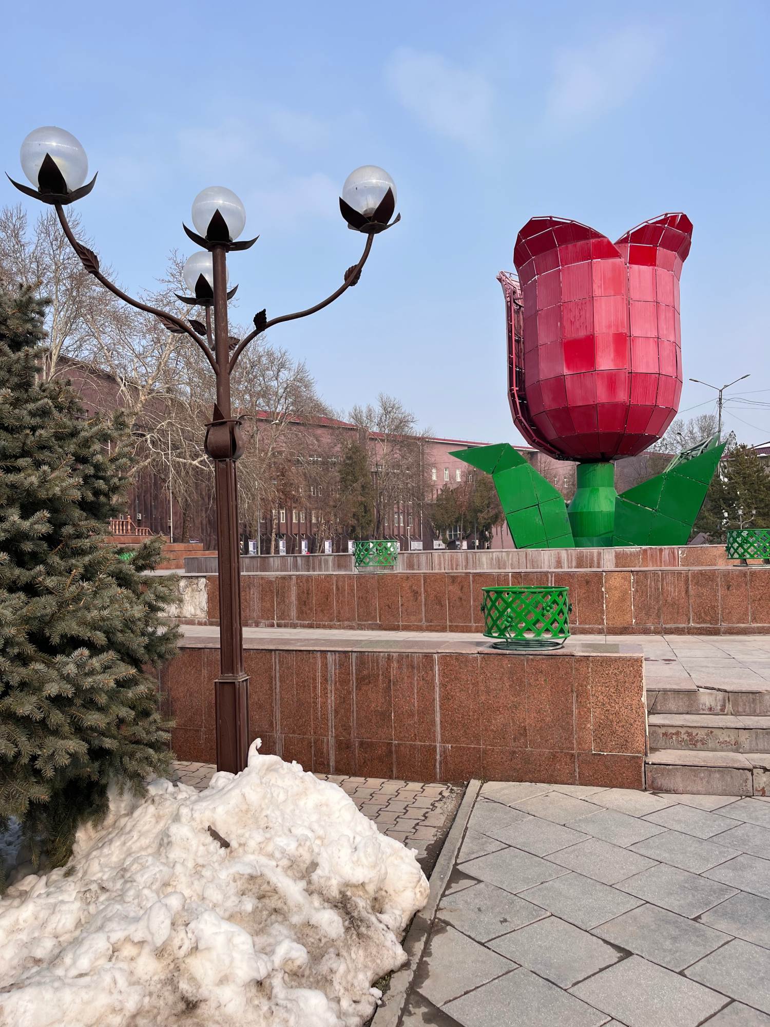 1 Front Foto Shymkent Tulipan